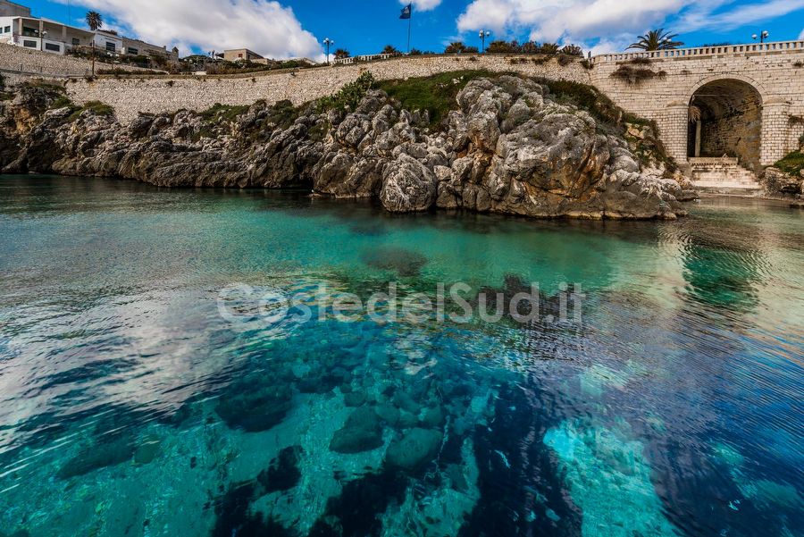 acque Limpide Nel Porticciolo