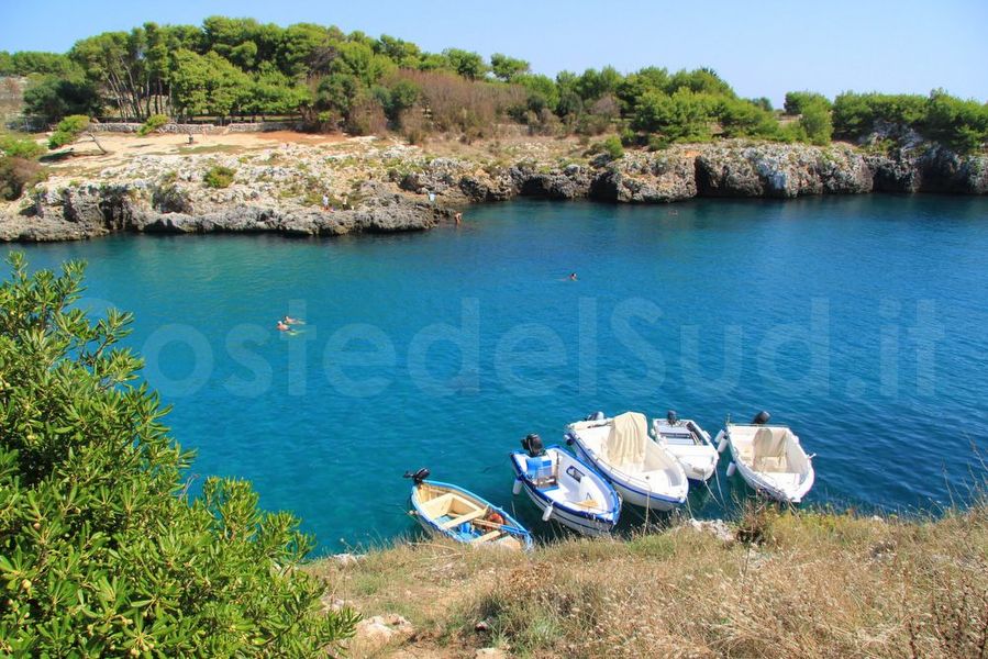 foto Porto Badisco Panoramica Barche Mare Pineta