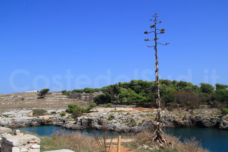 grotta Dei Cervi 2