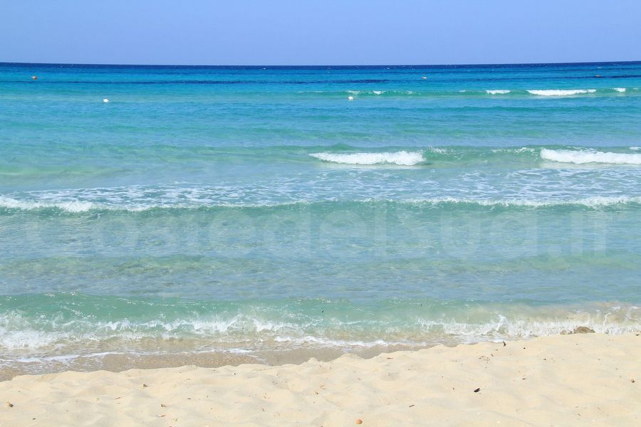 il Mare Di Torre San Giovanni